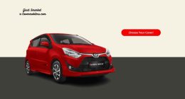 Jual Sarung Mobil Agya - Cover Mobilmu - By Gicut Smarket