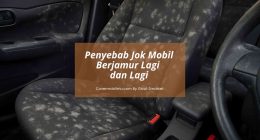 Penyebab Jok Mobil Berjamur - Cover Mobilmu By Gicut Smarket