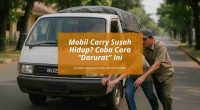 Penyebab Mobil Carry Susah Hidup - Cover Mobilmu By Gicut Smarket