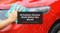 Perbedaan Shampo Mobil - Cover Mobilmu By Gicut Smarket
