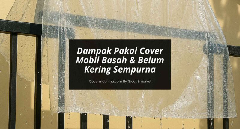 Cover Mobil Basah - Cover Mobilmu by Gicut Smarket