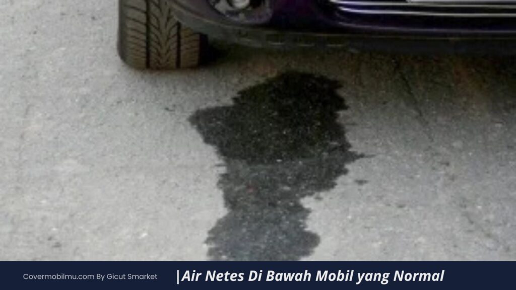 Air Netes Di Bawah Mobil yang Normal - Cover Mobilmu