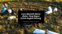 Cara Memilih Motor Bekas Yang Bagus Untuk Angkut Barang - Cover Mobilmu