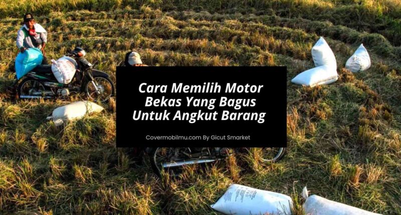 Cara Memilih Motor Bekas Yang Bagus Untuk Angkut Barang - Cover Mobilmu