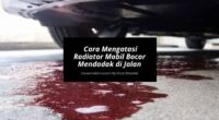 Cara Mengatasi Radiator Mobil Bocor Mendadak Saat Mudik - Cover Mobilmu