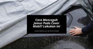 Cara Mencegah Jamur Pada Cover Mobil Lakukan Ini Segera!