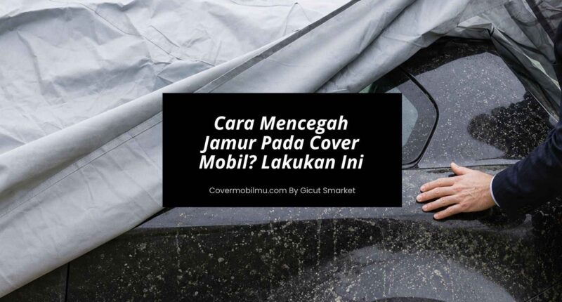 Cara Mencegah Jamur Pada Cover Mobil Lakukan Ini Segera!